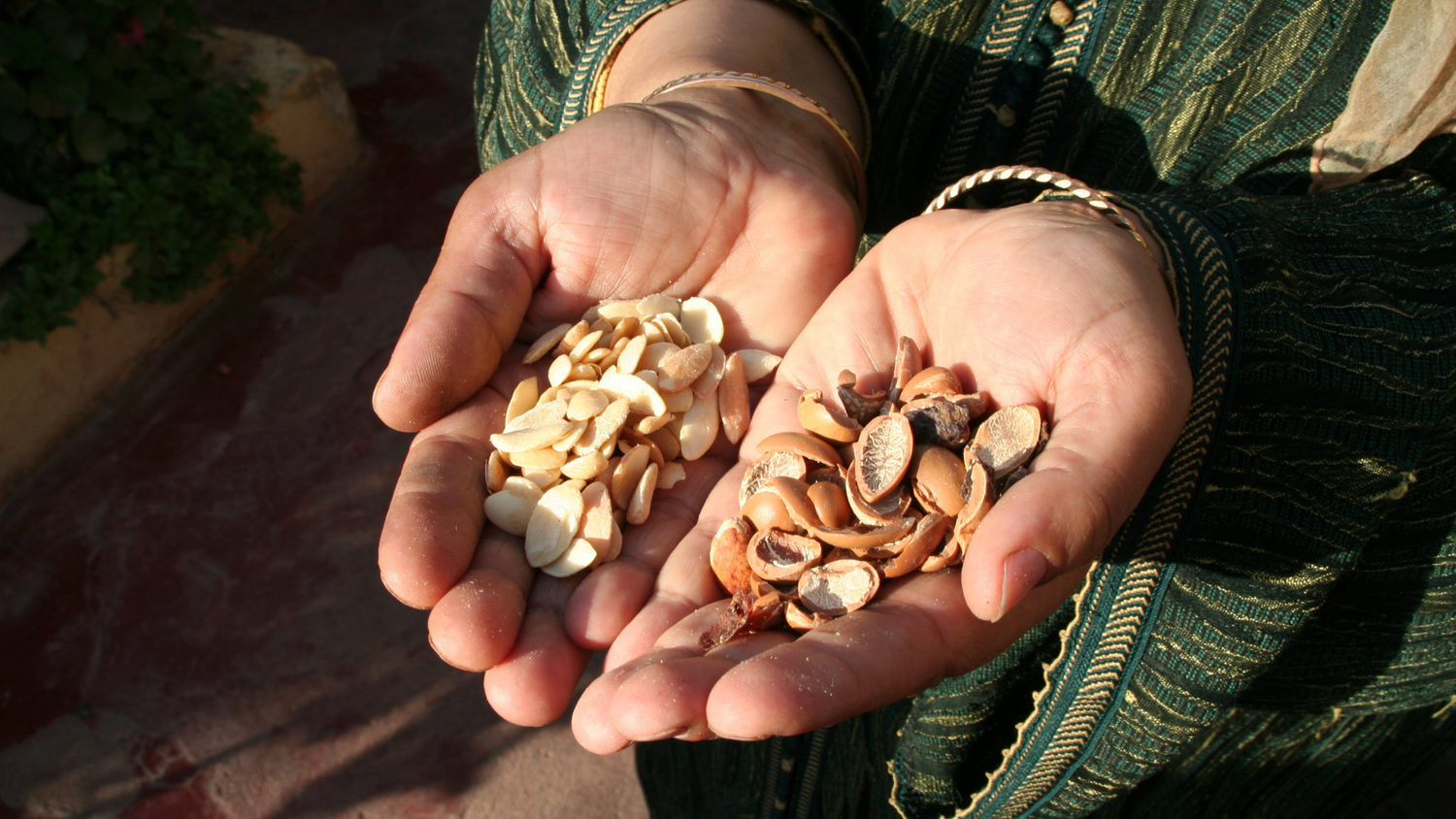 Argan kernels in hands
