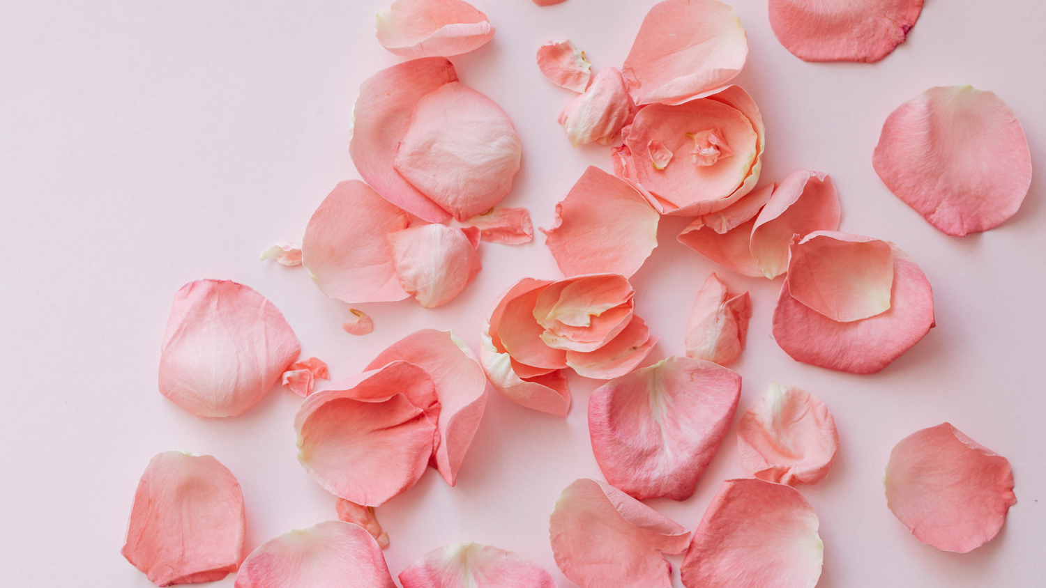 The Magic of Rose Water – Nature’s Secret Elixir