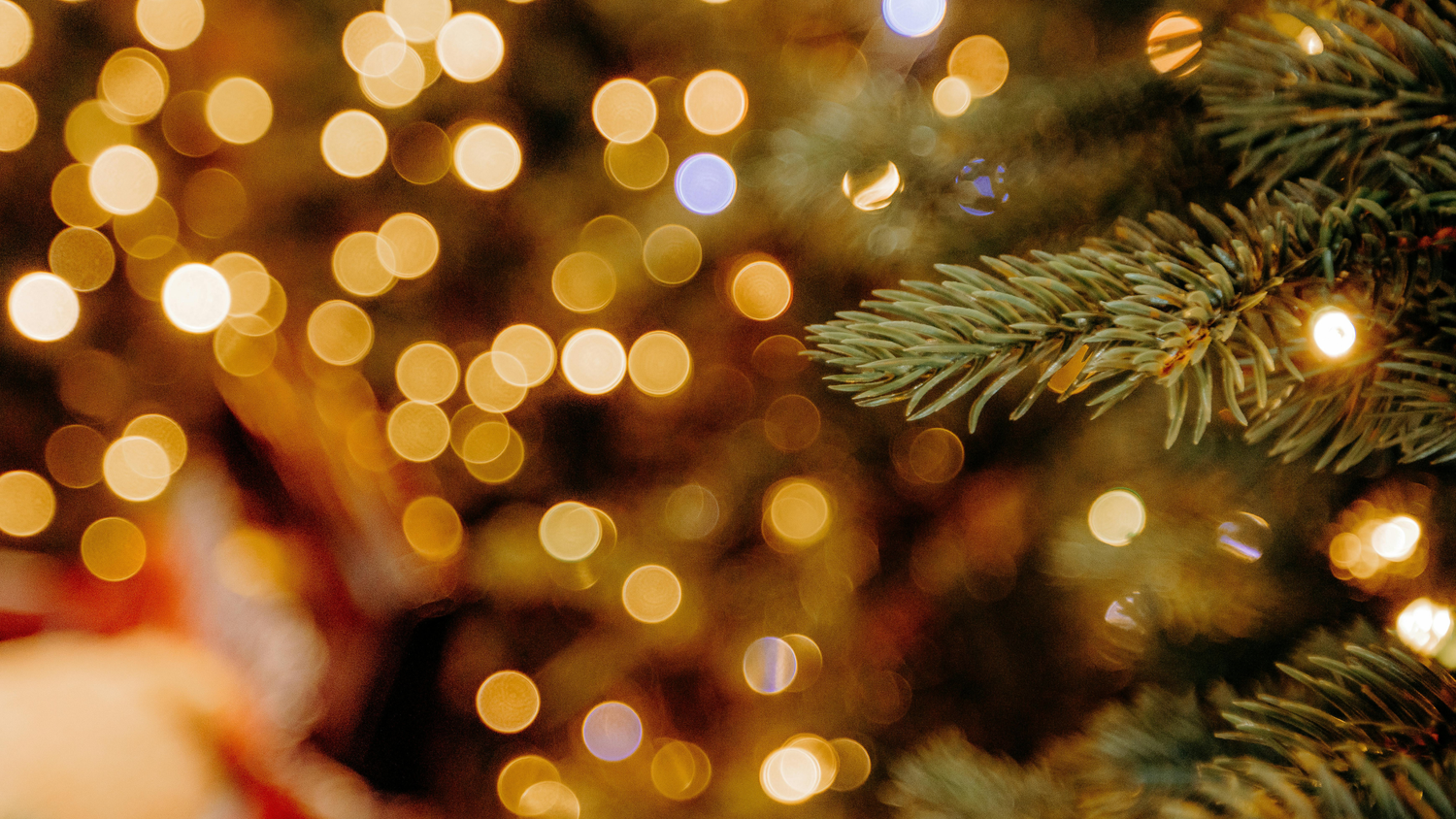 Moroccan Beauty Rituals for Festive Glow: From Hammam to Holiday Nights