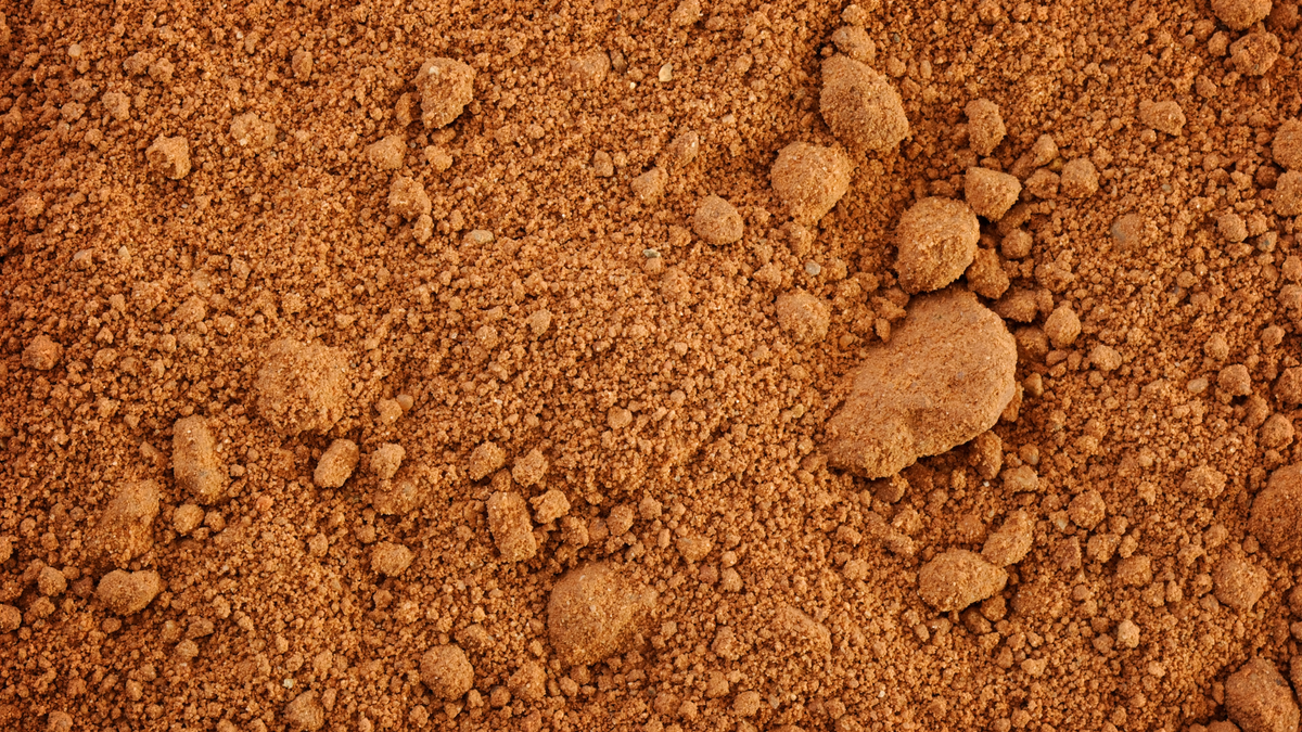 Moroccan Rhassoul Clay – The Secret to Detoxified Skin