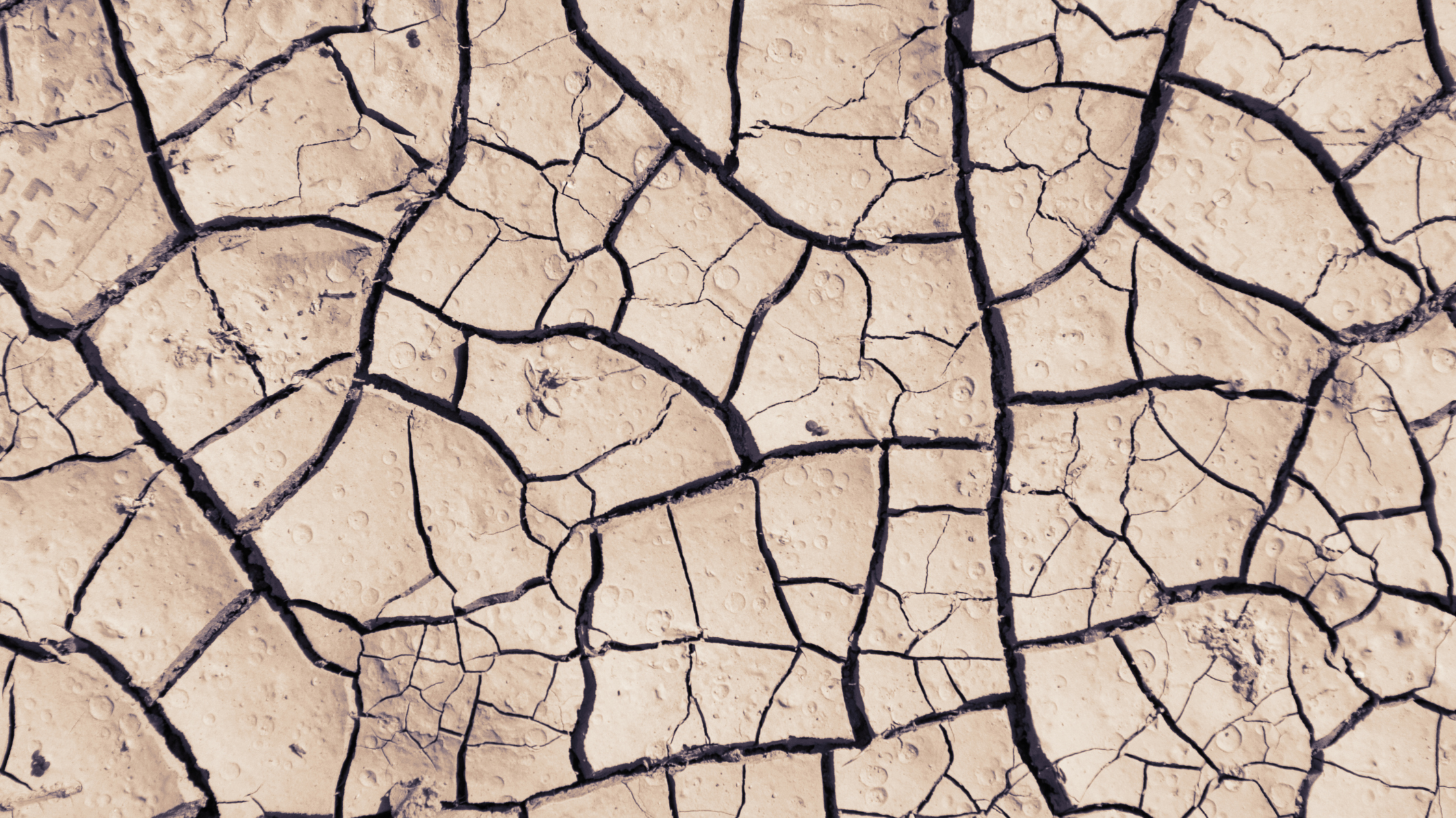 Dry Skin? Here’s What’s Causing It—And How Moroccan Beauty Ingredients Can Help