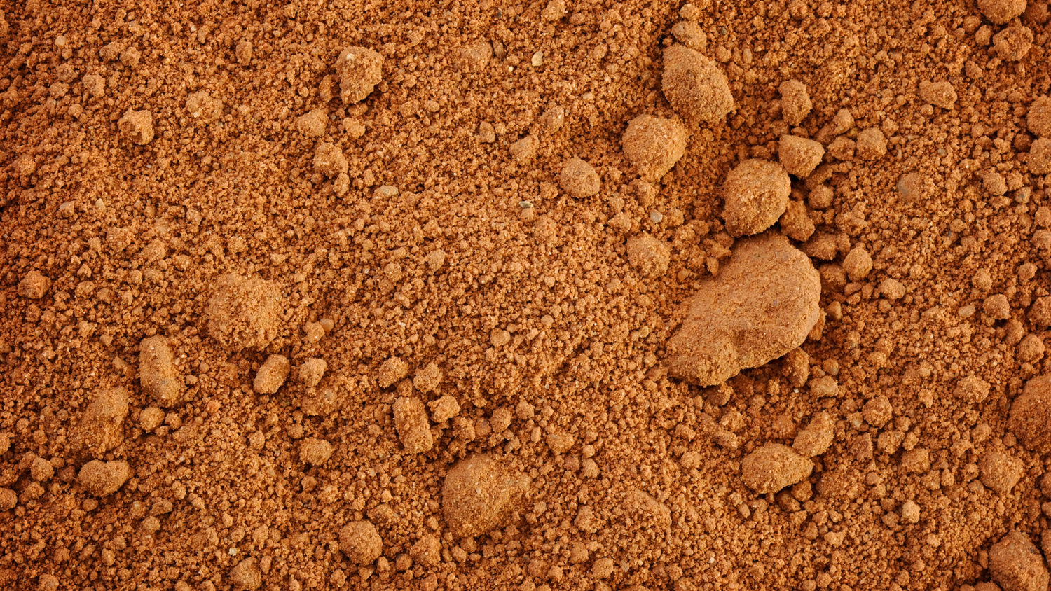 Moroccan Rhassoul Clay – The Secret to Detoxified Skin